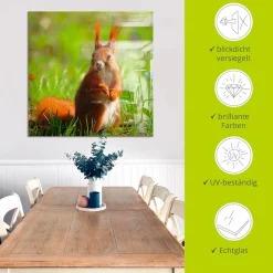 Artland Glasbild »Eichhörnchen Kontakt« Wildtiere 1 Stk. tlg. in verschiedenen Größen