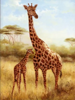 Artland Leinwandbild »Giraffe« Wildtiere 1 Stk. tlg. auf Holzrahmen gespannt