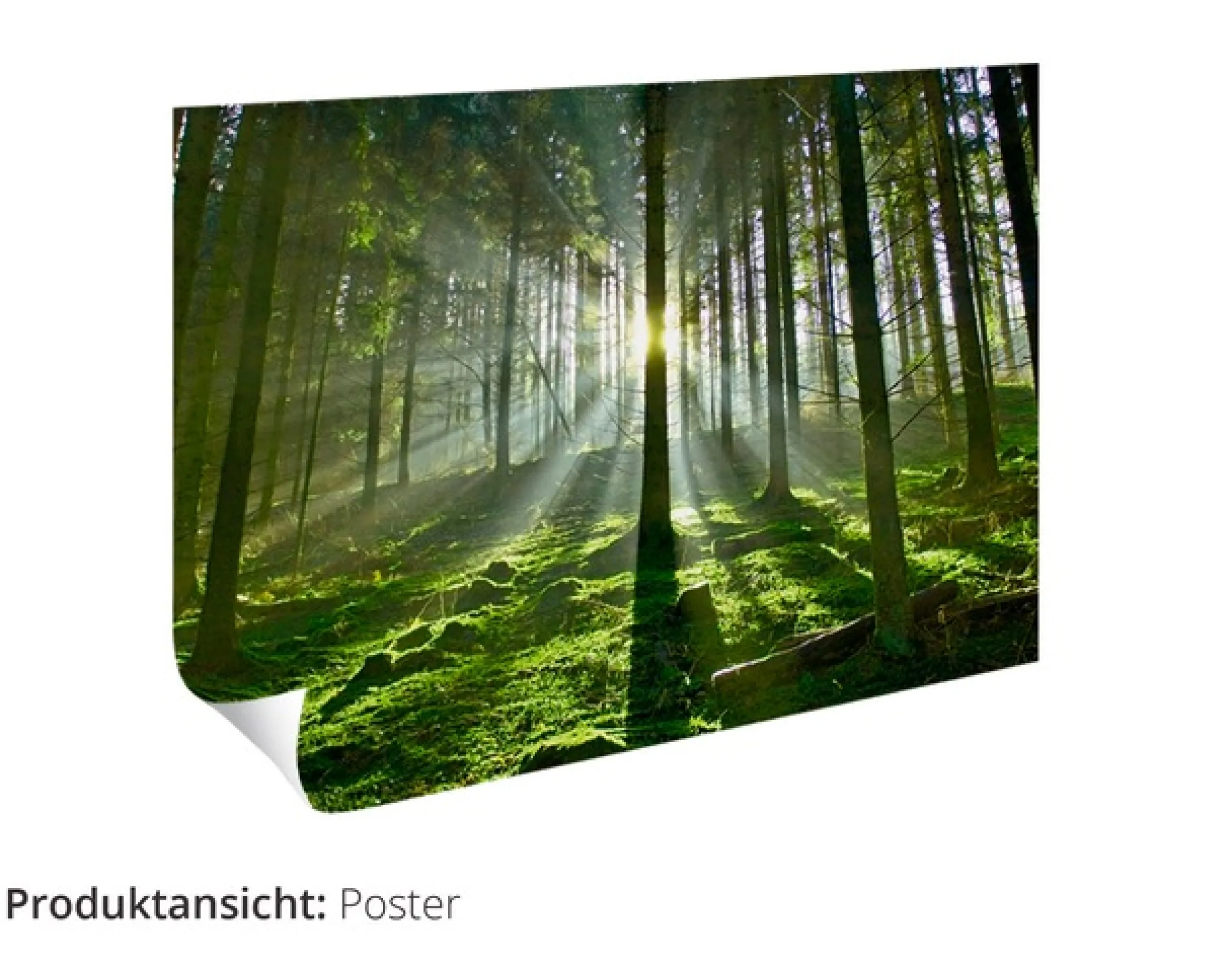 Artland Leinwandbild »Leuchtturm Sylt« Gebäude 1 Stk. tlg. als Leinwandbild, Poster in verschied. Größen