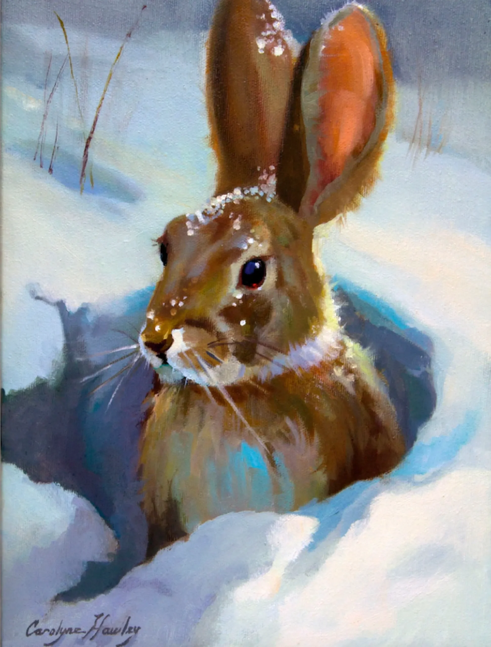 Artland Leinwandbild »Schneehase« Wildtiere 1 Stk. tlg. auf Holzrahmen gespannt