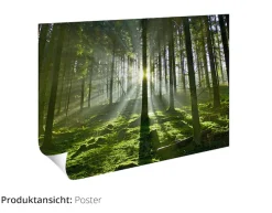 Artland Poster »Weißes Zwergkaninchen Baby« Wildtiere 1 Stk. tlg. ohne Rahmen
