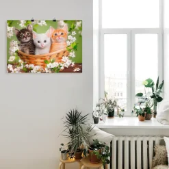 Artland Wandbild »Katzen sitzen in einem Korb« Haustiere 1 Stk. tlg. als Leinwandbild, Poster in verschied. Größen