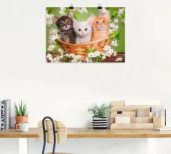 Artland Wandbild »Katzen sitzen in einem Korb« Haustiere 1 Stk. tlg. als Leinwandbild, Poster in verschied. Größen