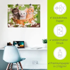 Artland Wandbild »Katzen sitzen in einem Korb« Haustiere 1 Stk. tlg. als Leinwandbild, Poster in verschied. Größen