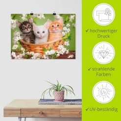 Artland Wandbild »Katzen sitzen in einem Korb« Haustiere 1 Stk. tlg. als Leinwandbild, Poster in verschied. Größen