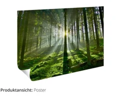 Artland Wandbild »Katzen sitzen in einem Korb« Haustiere 1 Stk. tlg. als Leinwandbild, Poster in verschied. Größen