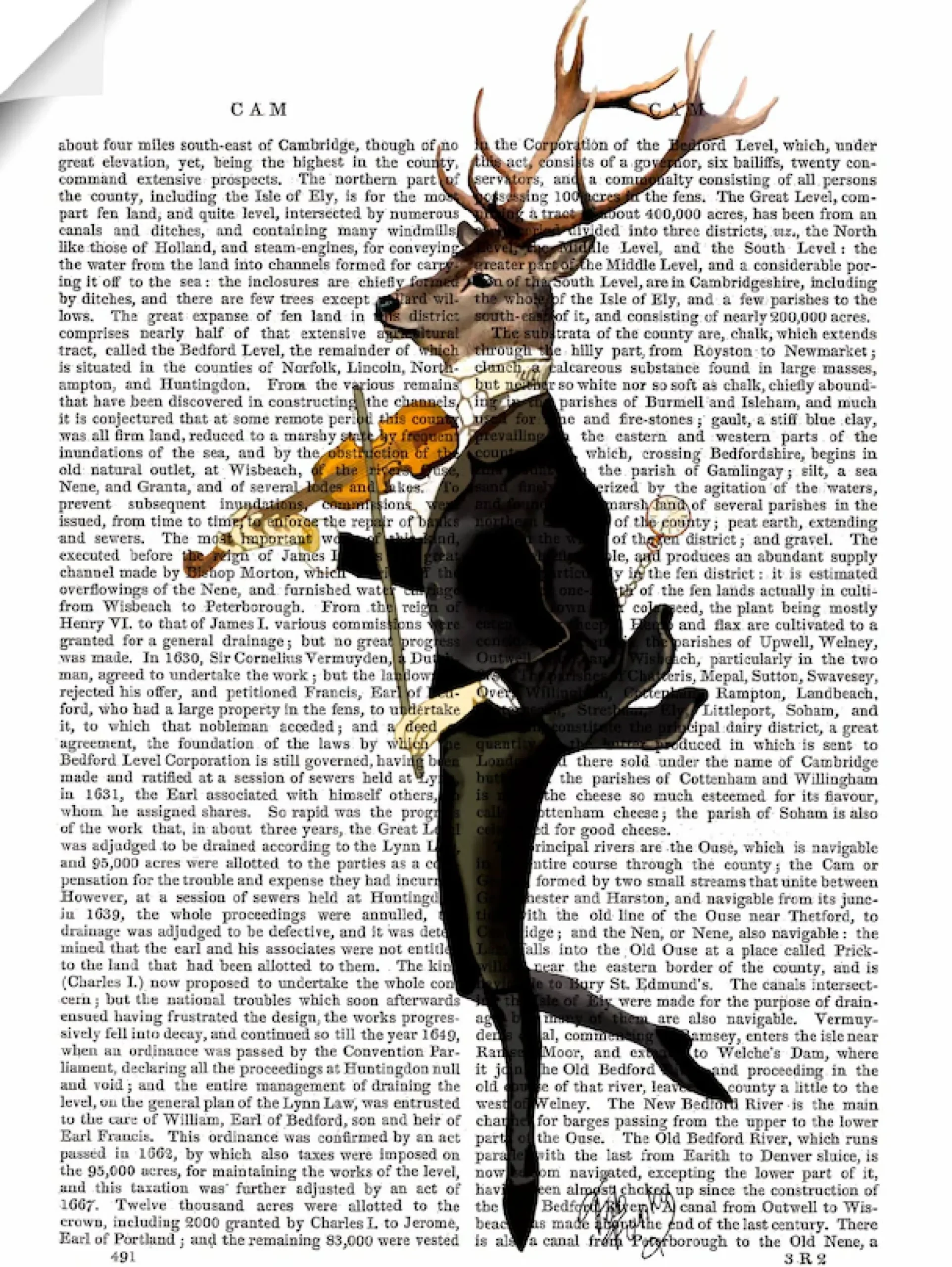Artland Wandbild »Tanzender Hirsch mit Violine« Humor 1 Stk. tlg. als Leinwandbild, Poster in verschied. Größen