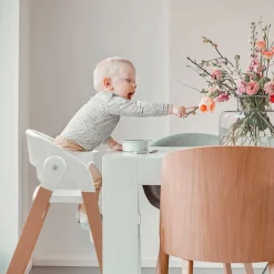 BabyGo Kombihochstuhl »Levels« () inklusive Wippe