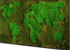 Bönninghoff Bild mit Rahmen »Moosbild "Weltkarte" 60x120 cm, schwarzer Rahmen« 1 Stk. tlg. handgefertigt, jedes Bild ein Unikat