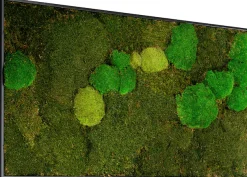 Bönninghoff Bild mit Rahmen »Moosbild "Mix Moos" 60x120 cm, schwarzer Rahmen« Natur 1 Stk. tlg. handgefertigt, jedes Bild ein Unikat