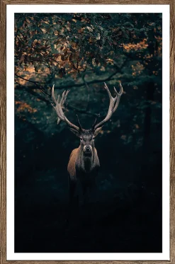 Bönninghoff Bild mit Rahmen »Wandbild gerahmt HIRSCH 50x70 cm – Edles Waldmotiv dunkle Farben« Hirsch | Landschaft | Natur | Tiere | Wald | mystischer Wald 1 Stk. tlg. mit dekorativem Rahmen
