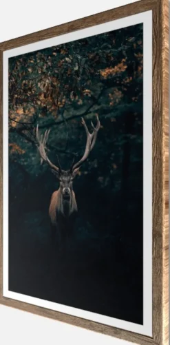 Bönninghoff Bild mit Rahmen »Wandbild gerahmt HIRSCH 50x70 cm – Edles Waldmotiv dunkle Farben« Hirsch | Landschaft | Natur | Tiere | Wald | mystischer Wald 1 Stk. tlg. mit dekorativem Rahmen