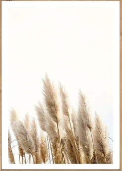 Bönninghoff Bild mit Rahmen »Wandbild gerahmt GETREIDE HALME 50x70 cm – Helles Naturmotiv Scandi« Gräser | Natur | Pflanzen | Pflanzenbilder 1 Stk. tlg. mit dekorativem Rahmen