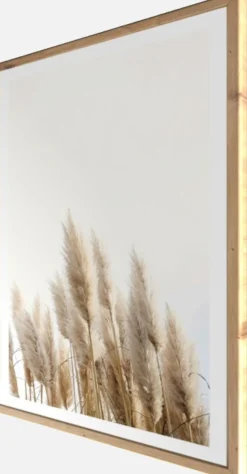 Bönninghoff Bild mit Rahmen »Wandbild gerahmt GETREIDE HALME 50x70 cm – Helles Naturmotiv Scandi« Gräser | Natur | Pflanzen | Pflanzenbilder 1 Stk. tlg. mit dekorativem Rahmen
