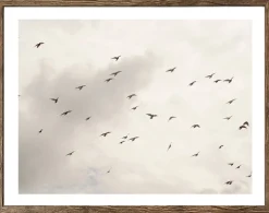 Bönninghoff Bild mit Rahmen »Wandbild gerahmt VÖGEL AM HIMMEL 40x50 cm – Wanddeko Natur Minimal« Himmel | Landschaft | Natur | Vogelbilder | Vögel 1 Stk. tlg. mit dekorativem Rahmen