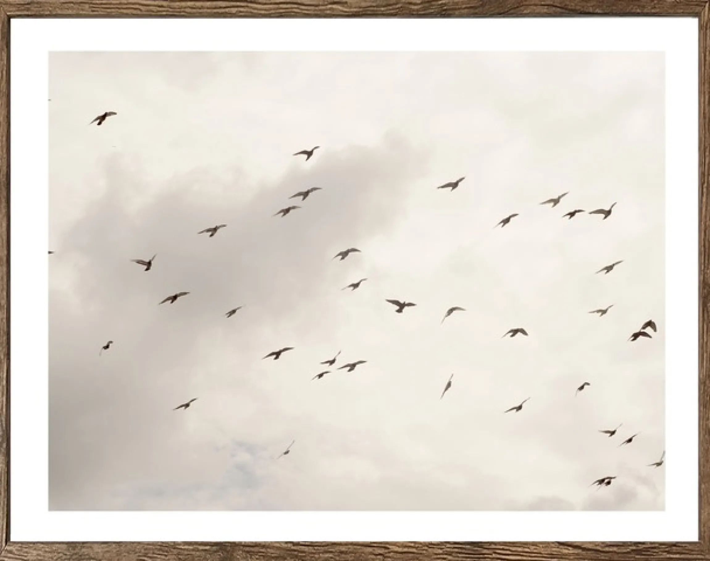 Bönninghoff Bild mit Rahmen »Wandbild gerahmt VÖGEL AM HIMMEL 40x50 cm – Wanddeko Natur Minimal« Himmel | Landschaft | Natur | Vogelbilder | Vögel 1 Stk. tlg. mit dekorativem Rahmen