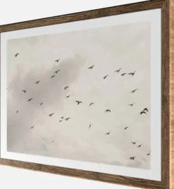 Bönninghoff Bild mit Rahmen »Wandbild gerahmt VÖGEL AM HIMMEL 40x50 cm – Wanddeko Natur Minimal« Himmel | Landschaft | Natur | Vogelbilder | Vögel 1 Stk. tlg. mit dekorativem Rahmen