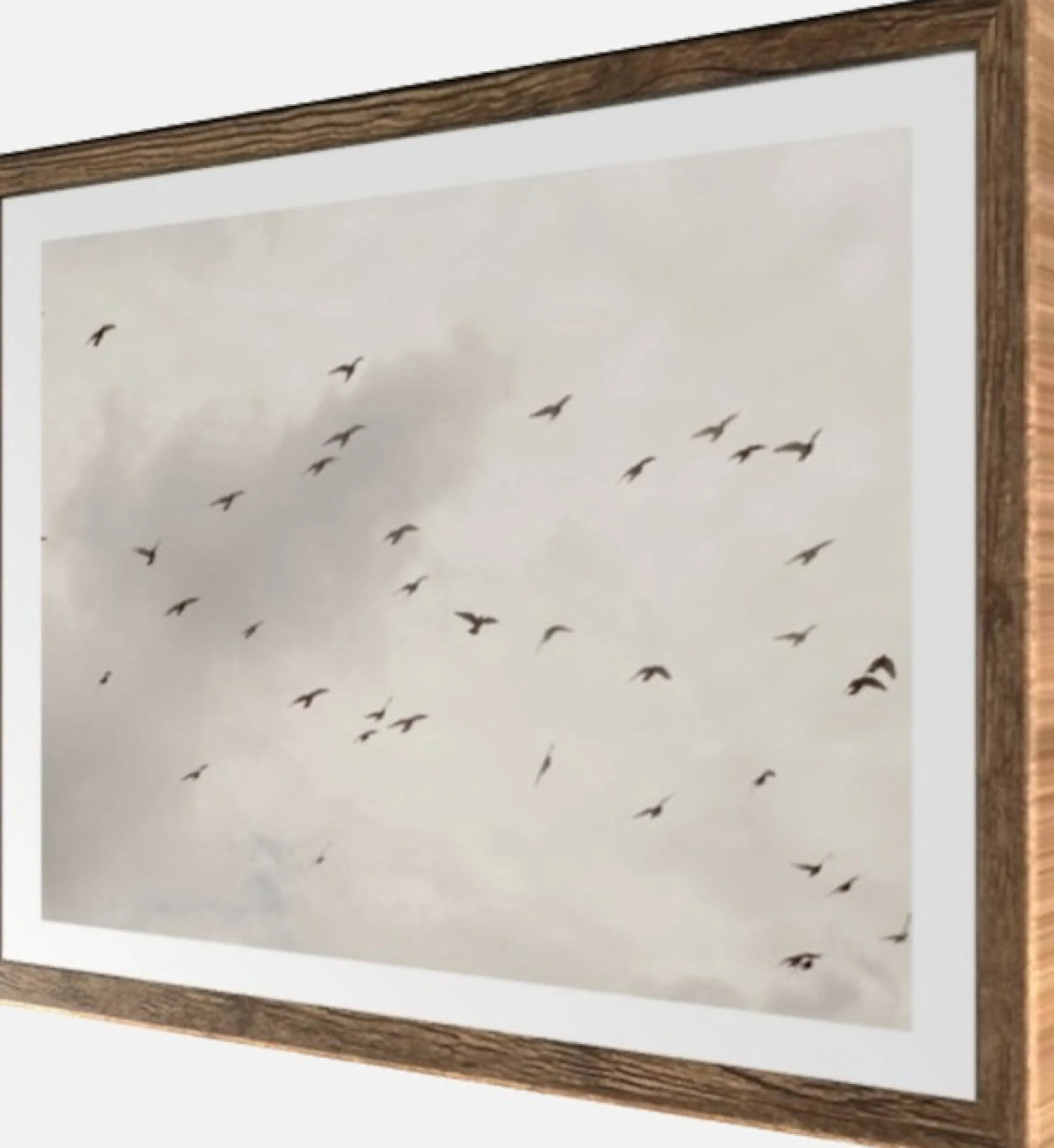 Bönninghoff Bild mit Rahmen »Wandbild gerahmt VÖGEL AM HIMMEL 40x50 cm – Wanddeko Natur Minimal« Himmel | Landschaft | Natur | Vogelbilder | Vögel 1 Stk. tlg. mit dekorativem Rahmen
