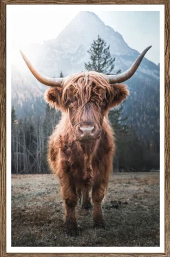 Bönninghoff Bild mit Rahmen »Wandbild gerahmt HOCHLANDRIND 50x70 cm – Rustikale Tierdeko aus den« Berge | Hochlandrind | Landschaft | Natur | Tiere 1 Stk. tlg. mit dekorativem Rahmen