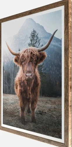 Bönninghoff Bild mit Rahmen »Wandbild gerahmt HOCHLANDRIND 50x70 cm – Rustikale Tierdeko aus den« Berge | Hochlandrind | Landschaft | Natur | Tiere 1 Stk. tlg. mit dekorativem Rahmen