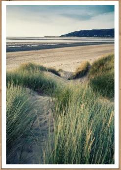Bönninghoff Bild mit Rahmen »Wandbild gerahmt STRANDROGGEN 50x70 cm – Nordsee Dünenmotiv mit« Düne | Gräser | Küste | Landschaft | Meer | Natur | Strand 1 Stk. tlg. mit dekorativem Rahmen