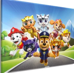 Bönninghoff Leinwandbild »Wandbild CAT PACK PAW PATROL 46x61 cm – Leinwandbild Keilrahmen Deko« Hunde | Katzen | Paw Patrol | Serien | Tiere 1 Stk. tlg. auf Keilrahmen gespannt