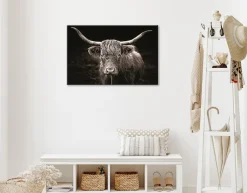 Bönninghoff Leinwandbild »Wandbild HOCHLANDRIND 60x90 cm – Leinwandbild Keilrahmen Deko modern« Kuhbilder 1 Stk. tlg. auf Keilrahmen gespannt