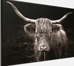 Bönninghoff Leinwandbild »Wandbild HOCHLANDRIND 60x90 cm – Leinwandbild Keilrahmen Deko modern« Kuhbilder 1 Stk. tlg. auf Keilrahmen gespannt