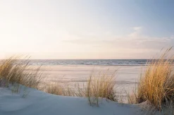 Bönninghoff Leinwandbild »Wandbild DÜNEN, STRAND UND MEER 78x118 cm – Leinwandbild Keilrahmen« Düne | Strand 1 Stk. tlg. auf Keilrahmen gespannt