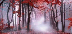Bönninghoff Leinwandbild »Wandbild NEBEL IM HERBSTWALD 33x70 cm – Leinwandbild Keilrahmen Deko« Wald 1 Stk. tlg. auf Keilrahmen gespannt