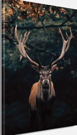 Bönninghoff Leinwandbild »Wandbild HIRSCH IM WALD 78x118 cm – Leinwandbild Keilrahmen Deko« Hirsch 1 Stk. tlg. auf Keilrahmen gespannt