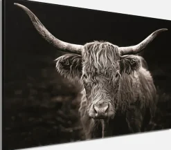 Bönninghoff Leinwandbild »Wandbild HOCHLANDRIND 78x118 cm – Leinwandbild Keilrahmen Deko modern« Kuhbilder 1 Stk. tlg. auf Keilrahmen gespannt