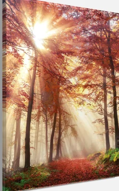 Bönninghoff Leinwandbild »Wandbild HERBSTWALD 46x61 cm – Leinwandbild Keilrahmen Deko modern« Wald 1 Stk. tlg. auf Keilrahmen gespannt