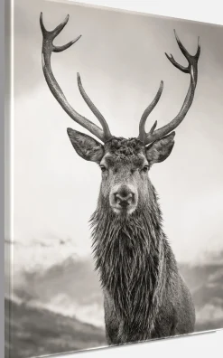 Bönninghoff Leinwandbild »Wandbild HIRSCH 46x61 cm – Leinwandbild Keilrahmen Deko modern« Hirsch 1 Stk. tlg. auf Keilrahmen gespannt