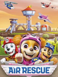 Bönninghoff Leinwandbild »Wandbild AIR RESCUE PAW PATROL 46x61 cm – Leinwandbild Keilrahmen Deko« Hunde | Paw Patrol 1 Stk. tlg. auf Keilrahmen gespannt