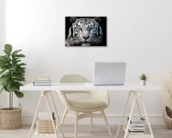 Bönninghoff Leinwandbild »Wandbild WEISSER TIGER 46x61 cm – Leinwandbild Keilrahmen Deko modern« Raubkatzen | Tiere | Tiger | Wildtiere 1 Stk. tlg. auf Keilrahmen gespannt