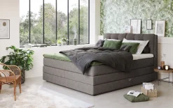 COTTA Boxspringbett »Fort II, in verschiedenen Breiten erhältlich - auch als Familienbett!« inkl. Bettkasten und Topper