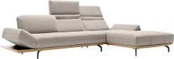 Creation BY ROLF BENZ Ecksofa »CR.420, Designecksofa, bequem, verstellbare Rückenlehne, L-Form« in 2 Qualitäten, Holzrahmen in Eiche Natur oder Nußbaum, Breite 313 cm