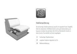 Die PlanBar Ecksofa »MP-IN20110 L-Form mit Federkern-Polsterung« optional mit Funktionen erhältlich
