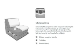 Die PlanBar Ecksofa »PN-EM23050, L-Form, Breite 289 cm, Leder, bis 120 kg belastbar« Optional mit Echtleder-Rücken, Kopfstütze, Sitz- und Armverstellung