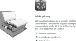 Die PlanBar 3-Sitzer »PN-EM16031, Breite 216 cm« Echtleder mit Federkernpolsterung, wahlweise mit Armteilverstellung