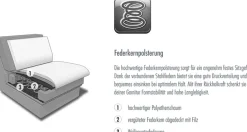 Die PlanBar Wohnlandschaft »ZE-EM18013 U-Form, Breite 305 cm« wahlweise mit Kopfstützen und Liegearmlehne