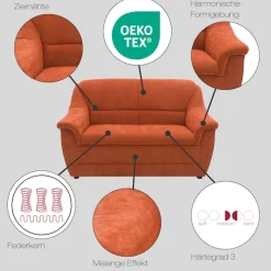 DOMO collection 2-Sitzer »Lale, zeitloses und komfortables Sofa, bequeme Armlehnen, Breite 155cm«