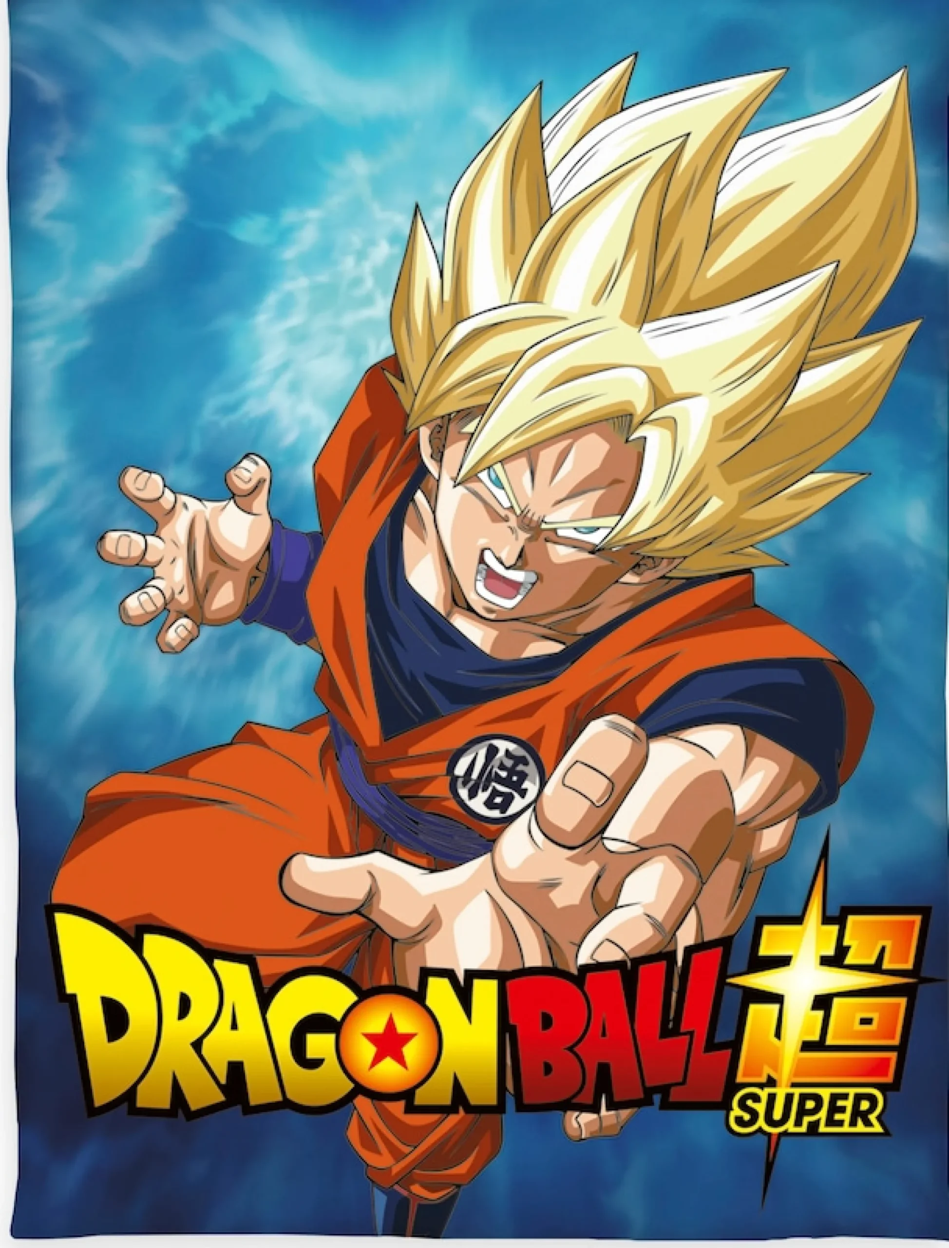 Dragon Ball Wohndecke mit tollem Motiv