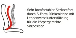 Duo Collection Gaming-Stuhl »Riley« ()
