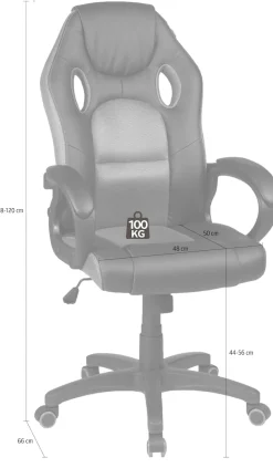 Duo Collection Gaming-Stuhl »Riley« ()