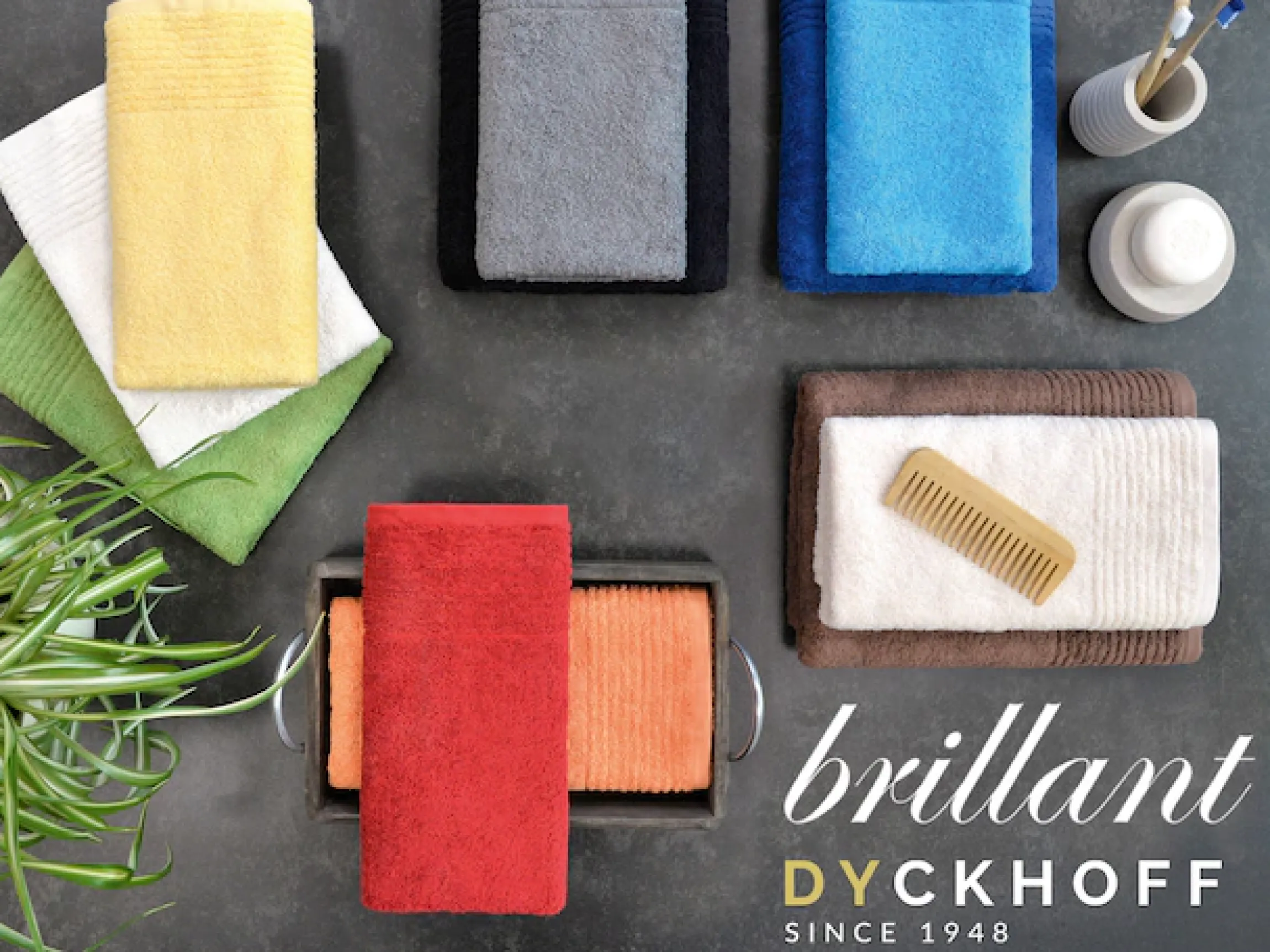 Dyckhoff Duschtuch »Duschtuch BRILLANT, Baumwolle, 70x140 cm, 550 g/m²« Baumwolle