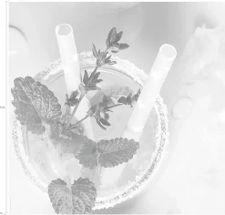 Express Küchen Küchenrückwand »Cocktail«