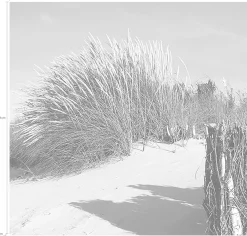 Express Küchen Küchenrückwand »Strand«