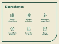 fan Taschenfederkernmatratze »Sleep Spring Pro, Boxspringmatratze m. Thermogelauflage, 90x200 & mehr« 33 cm hoch 1-tlg., 1 Stk. tlg. Haus & Garten Test 